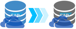 Everuz Database Migration C2C