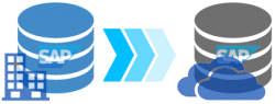 Everuz Database Migration P2C