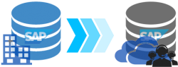 Everuz Database Migration P2C MS