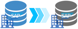 Everuz Database Migration P2P