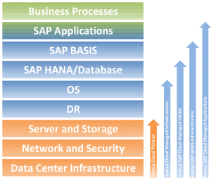 SAP Managed Services